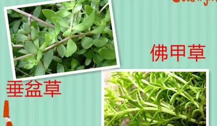 园林景观工程