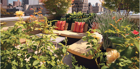 郑州屋顶花园绿化给您介绍屋顶花园有哪些类型